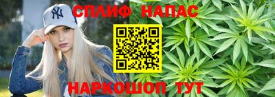 индика Кулебаки