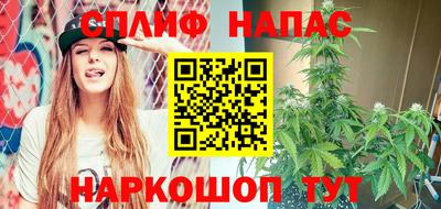 индика Кулебаки