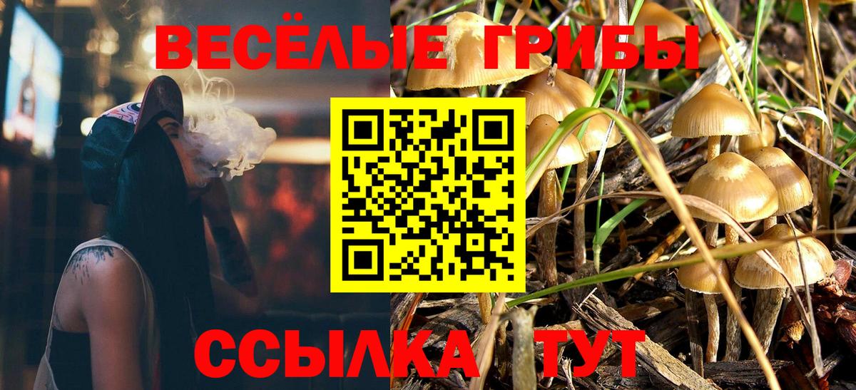 Галлюциногенные грибы Psilocybine cubensis  Вход с VPN  Галлюциногенные грибы мухоморы  Тимашёвск 